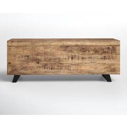 Birch Laneâ¢ Dinora Lift Top Sled Coffee Table